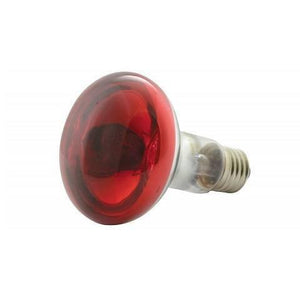 R80 100w Red Reflector Infrared Heating Bulb Lamp 220-240v E27 For Hen Duck Egg Incubators