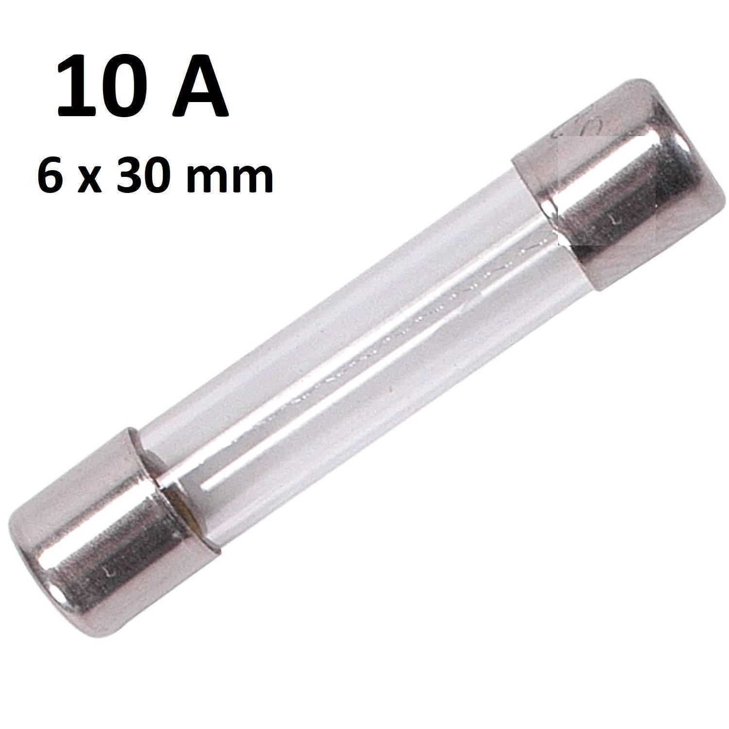 10 Amp 6x30mm 250vac Glass Fuse