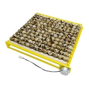 Discontenued 220v Egg Incubator Roller Tray Multifuntion 156 Birds Eggs 13 Tubes Egg Capacity Poultry Incubator Hatcher