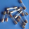 2 Amp 5mm x 20mm Cartridge Fuse 5X20