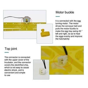 56 Eggs Tray Poultry Chicken Bird Eggs 12v Incubator Turner Tray With Turning Motor