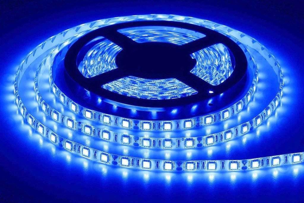 Blue Color 12v Dc Strip Light Rolls 5 Meter Each