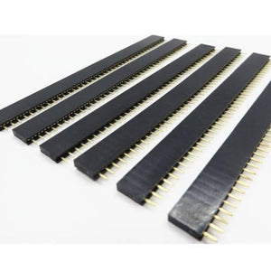 40 Pin 2mm Pitch Female Header