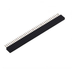 40 Pin 2mm Pitch Female Header