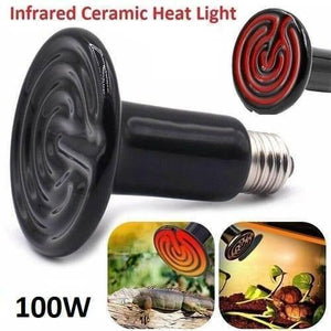 100w 220v Egg Incubator Heating Element Mini Infrared Ceramic Heating Controller Bulb Light