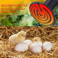 100w 220v Egg Incubator Heating Element Mini Infrared Ceramic Heating Controller Bulb Light
