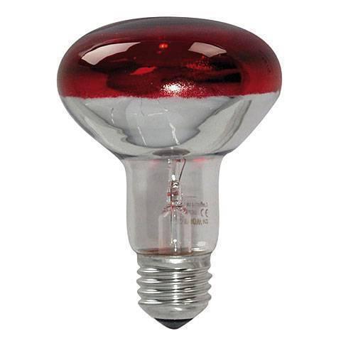 R80 100w Red Reflector Infrared Heating Bulb Lamp 220-240v E27 For Hen Duck Egg Incubators