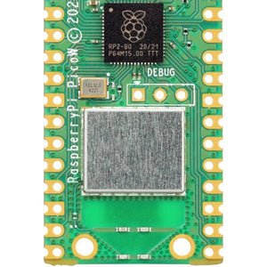 Raspberry Pi Pico w
