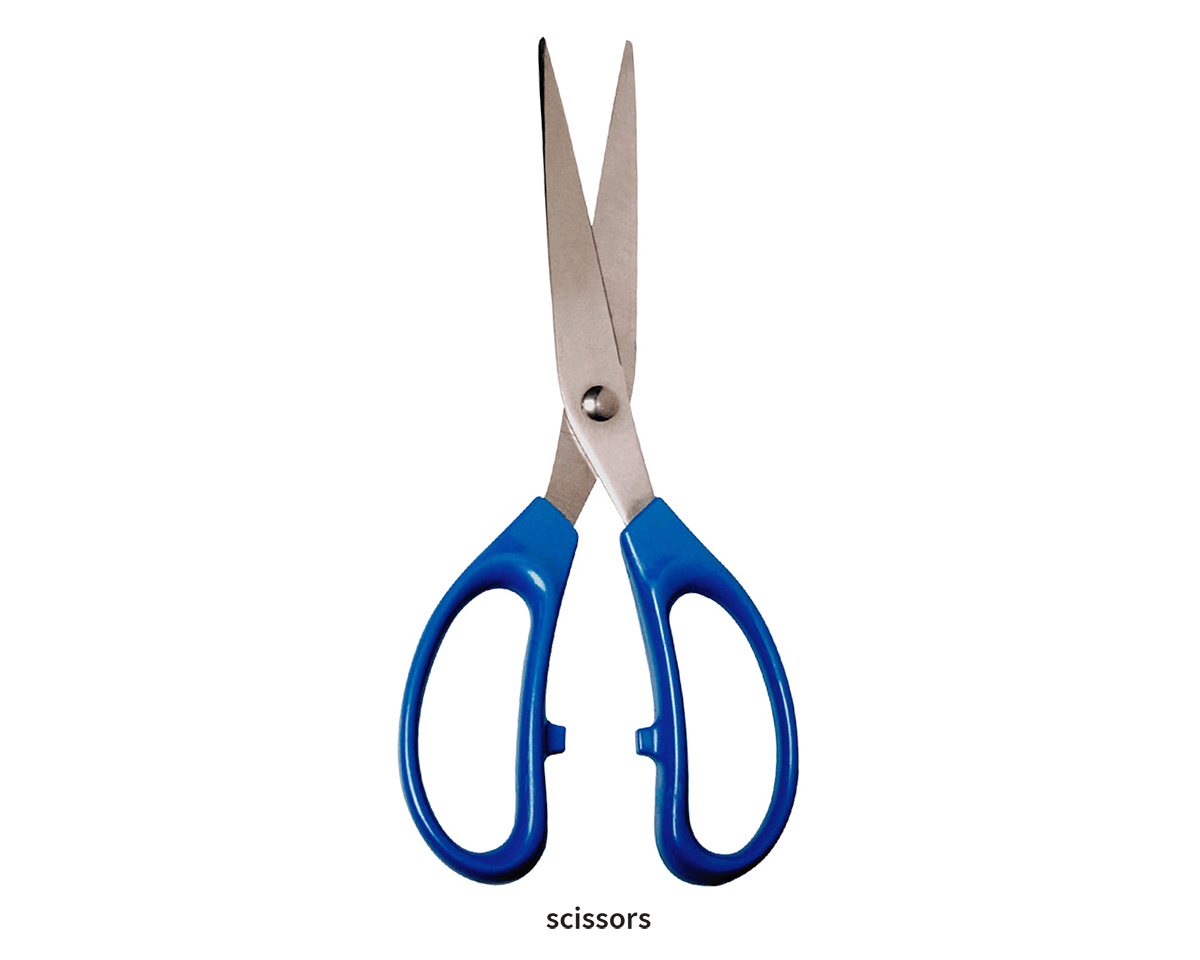 General Purpose Scissors