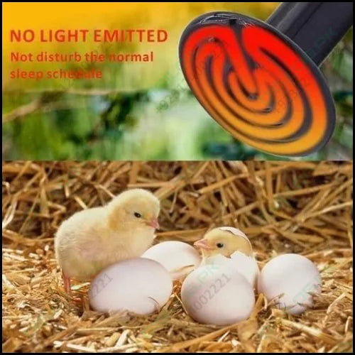 100w 220v Egg Incubator Heating Element Mini Infrared Ceramic Heating Controller Bulb Light
